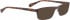 BELLINGER DEXTER-2 sunglasses in Brown