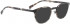 BELLINGER CIRCLE-3 sunglasses in Black Light Tortoise