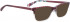 BELLINGER CELLO sunglasses in Purple-White