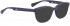 BELLINGER BROWS-1 sunglasses in Dark Purple