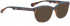 BELLINGER BROWS-1 sunglasses in Brown Pattern
