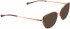 BELLINGER ARC-8 sunglasses in Brown