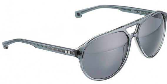 ENTOURAGE OF 7 WILDWOOD sunglasses in Grey Transparant