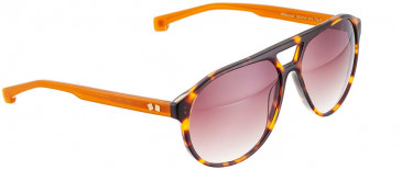 ENTOURAGE OF 7 WILDWOOD sunglasses in Brown