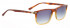 ENTOURAGE OF 7 WATTS sunglasses in Light Tortoise