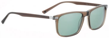 ENTOURAGE OF 7 WATTS sunglasses in Brown