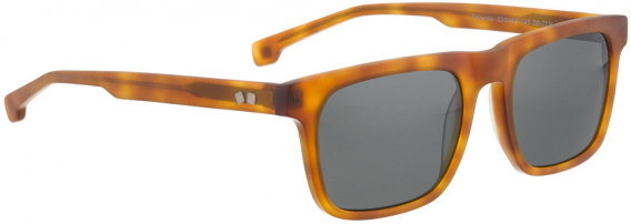ENTOURAGE OF 7 ROCKPILE sunglasses in Matt Light Havanna