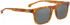 ENTOURAGE OF 7 ROCKPILE sunglasses in Matt Light Havanna