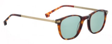 ENTOURAGE OF 7 LENNOX sunglasses in Tortoise