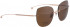 ENTOURAGE OF 7 ICONS-3002 sunglasses in Rose Gold
