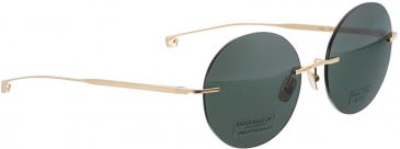 ENTOURAGE OF 7 ICONS1 sunglasses in Gold