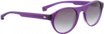 ENTOURAGE OF 7 ENCINO sunglasses in Purple