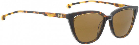 ENTOURAGE OF 7 CORRAL sunglasses in Brown Pattern