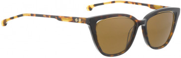 ENTOURAGE OF 7 CORRAL sunglasses in Brown Pattern