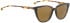ENTOURAGE OF 7 CORRAL sunglasses in Brown Pattern