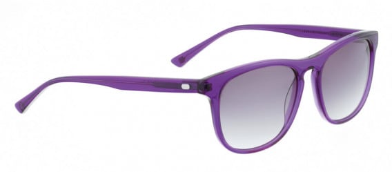 ENTOURAGE OF 7 CANOGA sunglasses in Purple