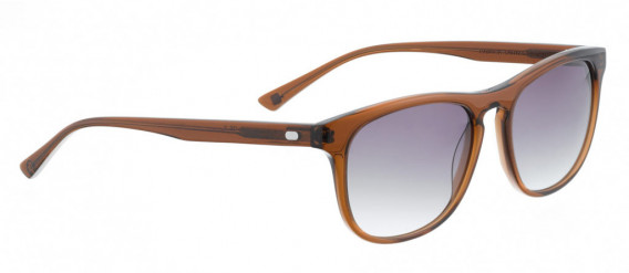 ENTOURAGE OF 7 CANOGA sunglasses in Brown