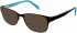 Zenith 76-48 Sunglasses in Claret
