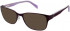 Zenith 76-50 Sunglasses in Purple