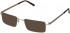 Jaeger 301 Sunglasses in Brown