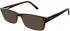 Zenith 77-51 Sunglasses in Brown