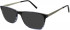 ZENITH 87-50 Sunglasses in Grey