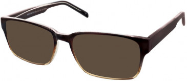 Matrix 832 sunglasses in Brown