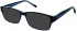 Matrix 825 sunglasses in Navy