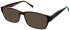 Matrix 825 sunglasses in Brown