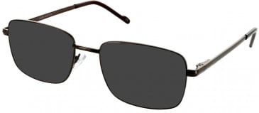 Lazer 4112-54 sunglasses in Brown