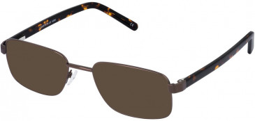Lazer 4098-53 sunglasses in Brown