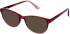 Lazer 4096-52 sunglasses in Claret