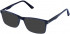 Lazer 4094-54 sunglasses in Navy