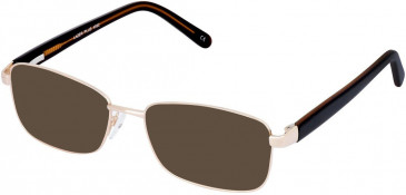 Lazer 4092-53 sunglasses in Gold