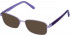 Lazer 4092-51 sunglasses in Lilac