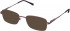 Lazer 4080-52 sunglasses in Burgundy