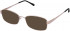 Lazer 4074-52 sunglasses in Brown