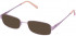 Lazer 4072-53 sunglasses in Rose