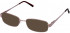 Lazer 4072-53 sunglasses in Brown