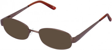 Lazer 4068-52 sunglasses in Brown