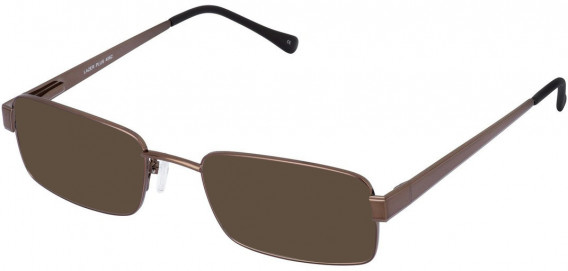 Lazer 4062-53 sunglasses in Brown