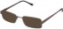 Lazer 4062-53 sunglasses in Brown
