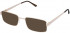 Lazer 4054-57 sunglasses in Gold