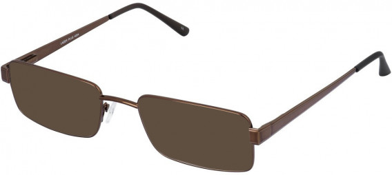 Lazer 4054-55 sunglasses in Brown