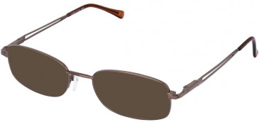 Lazer 4050-52 sunglasses in Brown