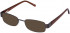 Lazer 4046-51 sunglasses in Brown