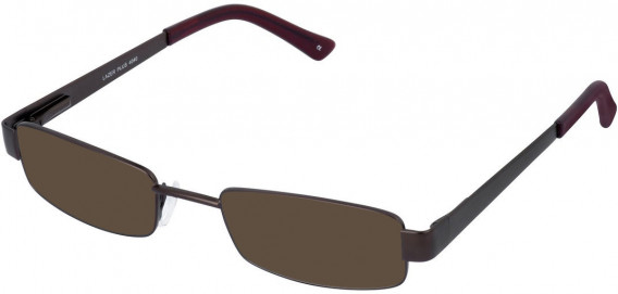 Lazer 4040-50 sunglasses in Brown