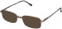Lazer 4034-55 sunglasses in Brown