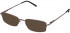 Lazer 4016-53 sunglasses in Brown