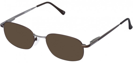 Lazer 3910-53 sunglasses in Brown